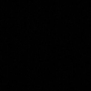 Meet your Posher, Amelia